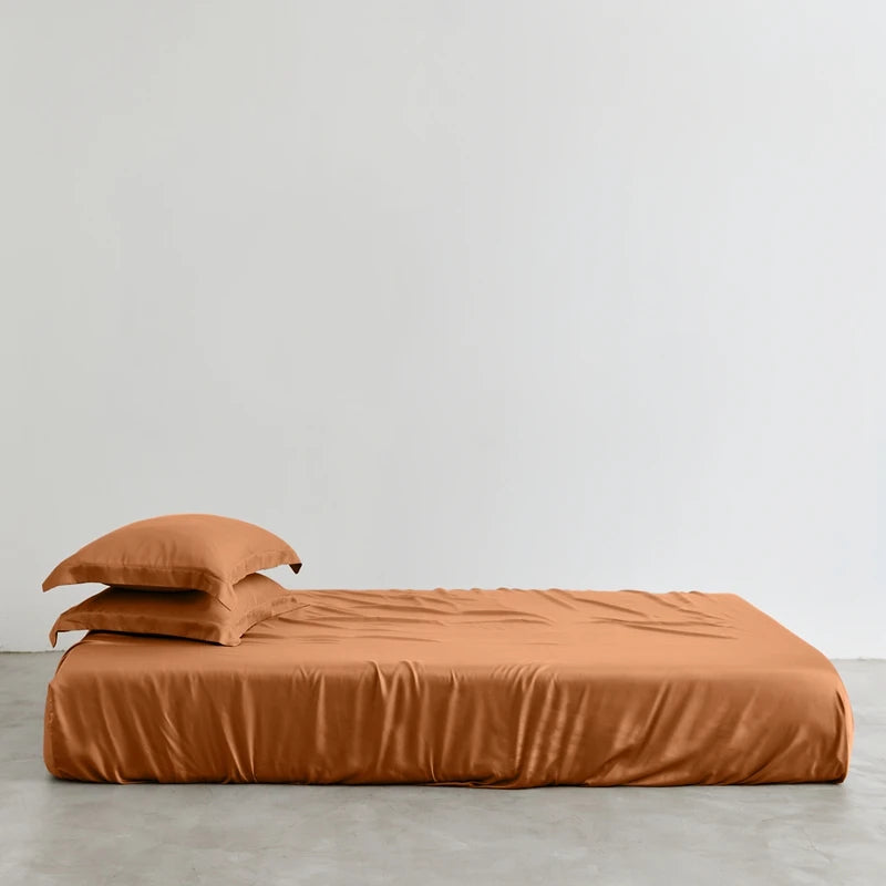 Brown bed sheets and pillowcases on a bed against a plain background