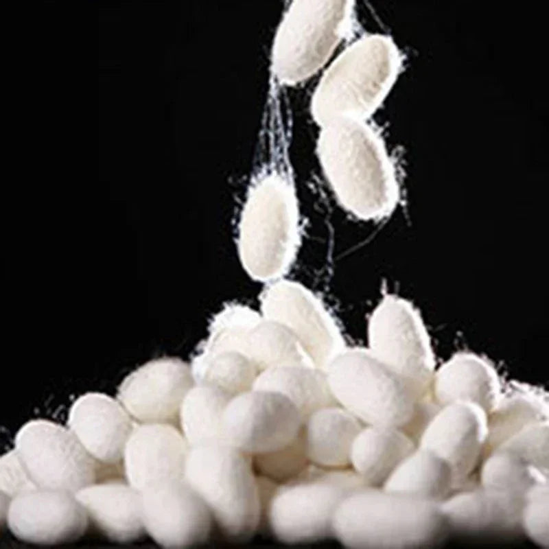 White silkworm cocoons on a black background